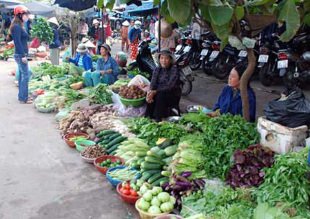 Đặc biệt đây là thời điểm giao mùa nên có đủ các loại rau như muống, ngót, mồng tơi, dền, dậu đều có giá cao nên người tiêu dùng khó mặc cả.